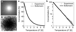 Thermophoretic Distribution